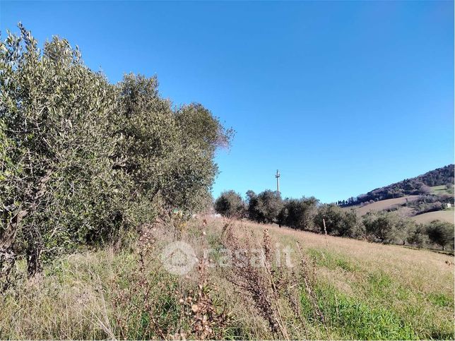 Terreno agricolo in commerciale in Via Campoceraso