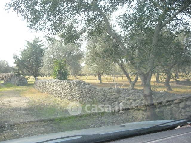 Terreno edificabile in residenziale in SP297