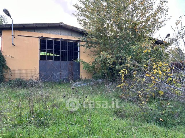 Capannone in commerciale in Lungarno dei Pioppi