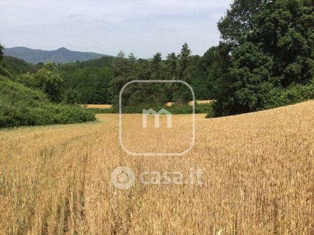 Terreno agricolo in commerciale in Contrada Colubro
