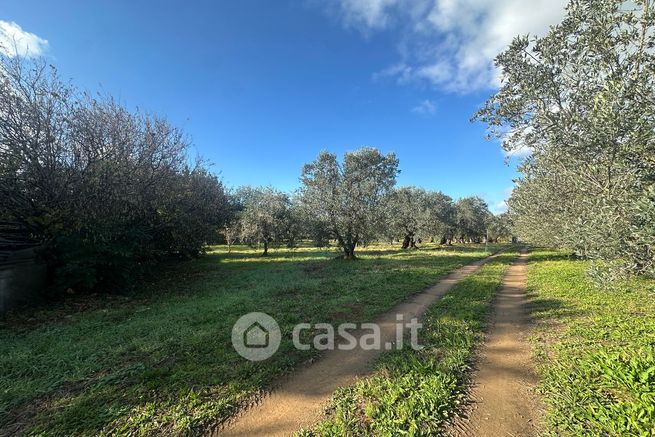 Terreno agricolo in commerciale in il giardino