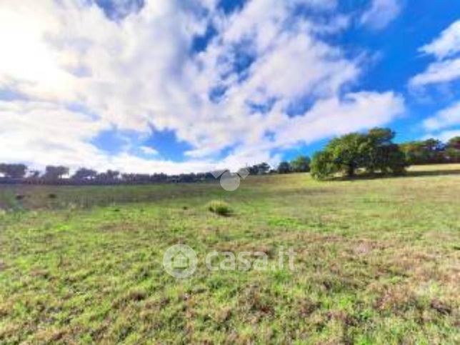 Terreno agricolo in commerciale in Via Piovega Sud 9000