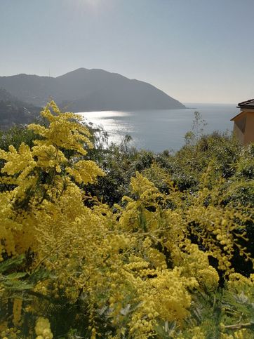 Villa in residenziale in Salita della Giudea