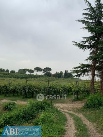Terreno agricolo in commerciale in Via Fornace Sarna