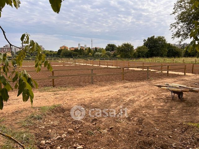 Terreno agricolo in commerciale in Strada Forte Procolo
