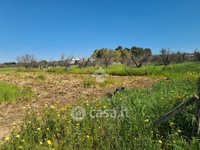 Terreno agricolo in commerciale in 