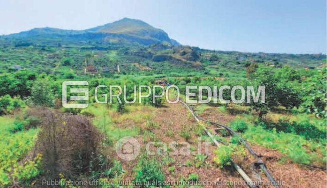 Terreno agricolo in commerciale in Contrada Porcara
