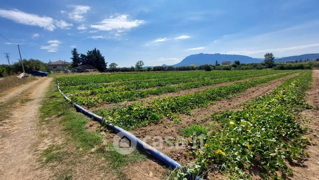 Terreno agricolo in commerciale in Via Acqua dei Pioppi