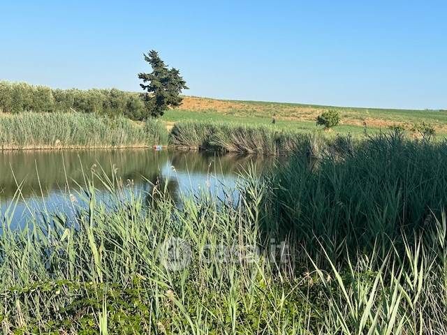 Terreno agricolo in commerciale in
