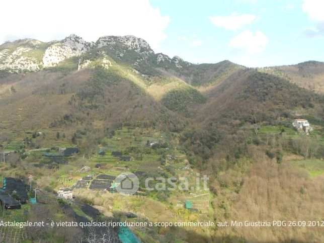 Terreno agricolo in commerciale in 