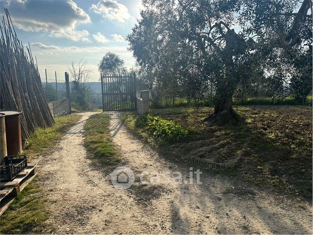 Terreno agricolo in commerciale in 