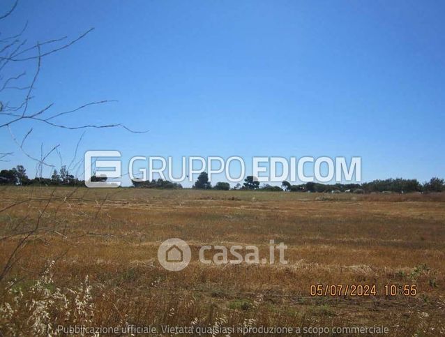 Terreno agricolo in commerciale in Via dei Delfini