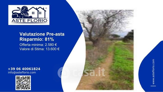 Terreno agricolo in commerciale in Strada Provinciale 262