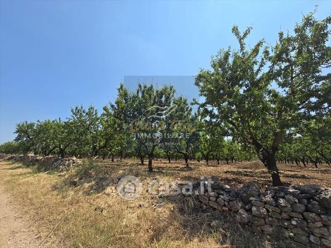 Terreno agricolo in commerciale in Strada Esterna Piede Piccolo
