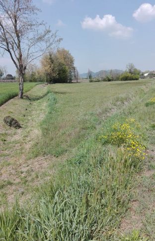 Terreno agricolo in commerciale in 