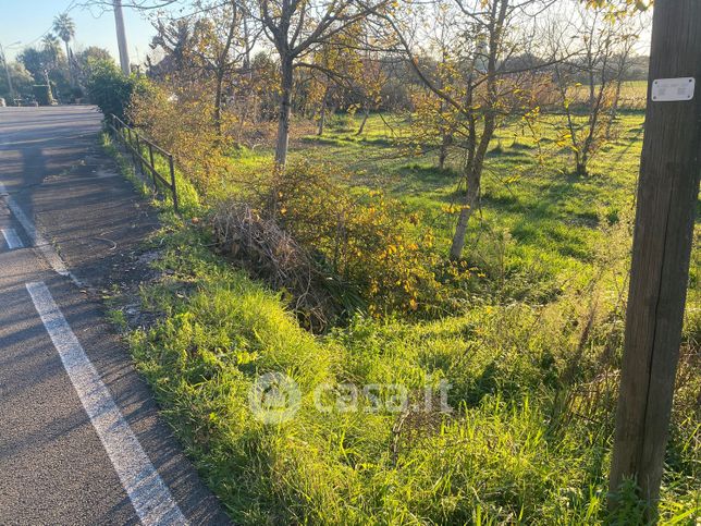 Terreno agricolo in commerciale in Via Romana Vecchia