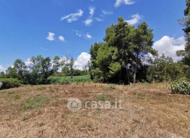 Terreno agricolo in commerciale in Via Giulio Silvestrelli
