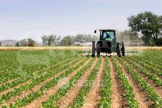 Terreno agricolo in commerciale in 