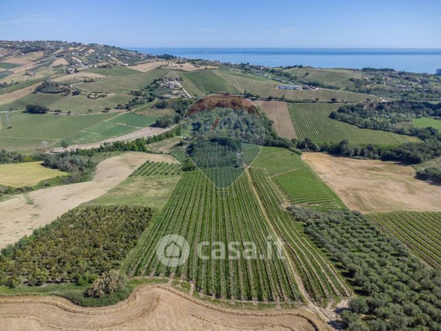 Terreno agricolo in commerciale in Via Luciano Lama 23