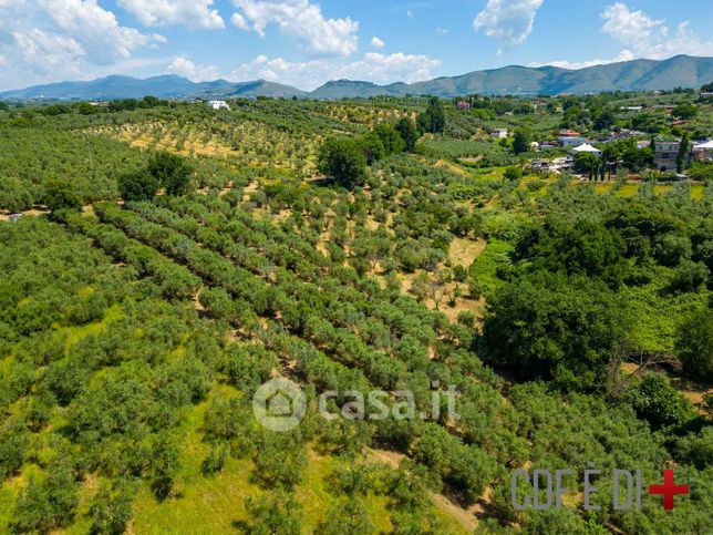 Terreno agricolo in commerciale in Via Fonte Maraone