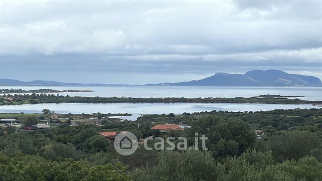 Terreno agricolo in commerciale in Via Lu Franzesu