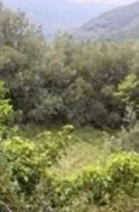 Terreno agricolo in commerciale in Piazza degli Eroi Taggesi