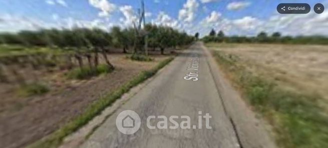 Terreno agricolo in commerciale in Strada Vicinale Schiavone