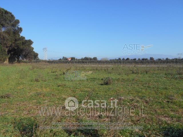 Terreno agricolo in commerciale in 