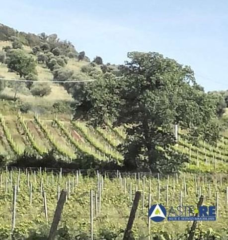 Terreno agricolo in commerciale in Località Vignale