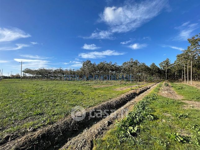 Terreno agricolo in commerciale in 