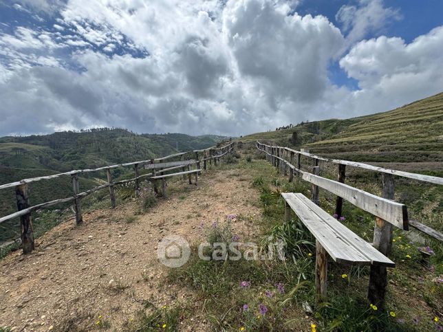 Terreno agricolo in commerciale in Strada Statale 113 Dir