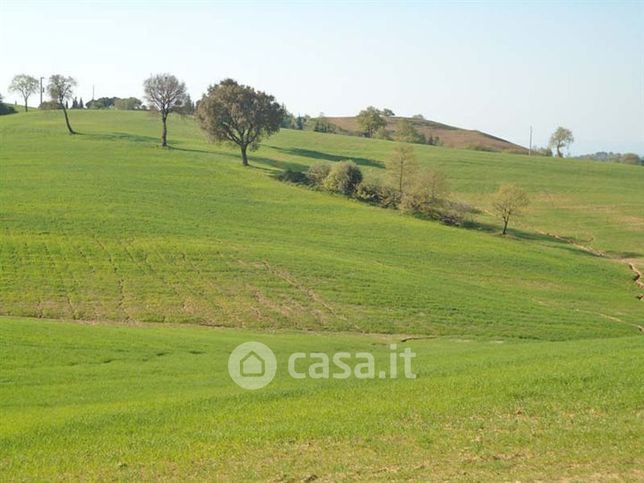 Terreno agricolo in commerciale in 