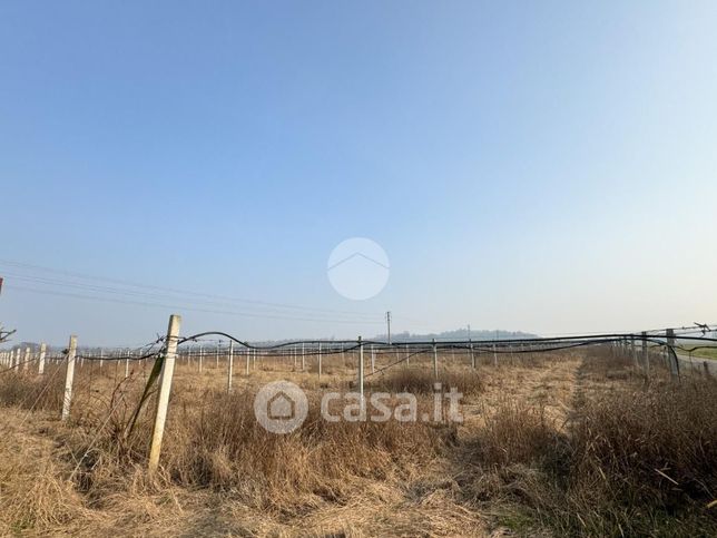 Terreno agricolo in commerciale in Strada Volta-Monzambano