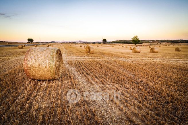 Terreno agricolo in commerciale in Via Pantanelle