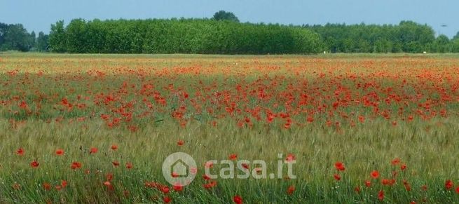 Terreno agricolo in commerciale in 