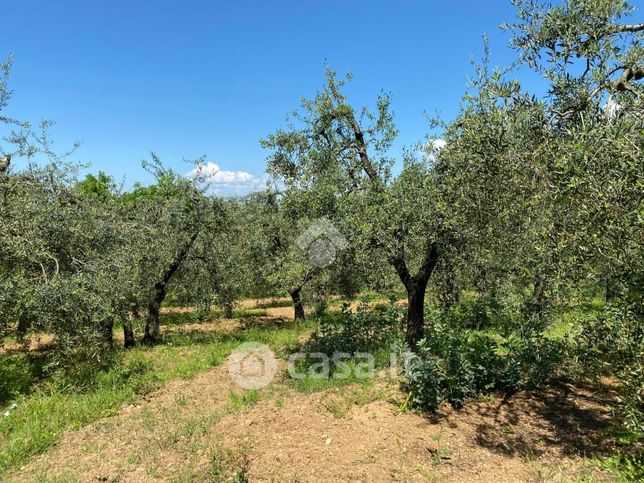 Terreno agricolo in commerciale in Strada Provinciale 4