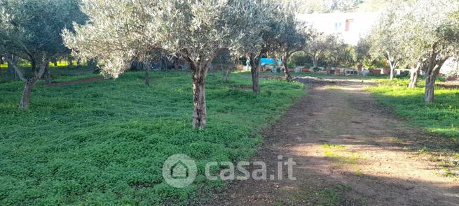 Terreno agricolo in commerciale in Via Don Luigi Sturzo