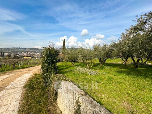 Terreno agricolo in commerciale in Via CÃ  Paletta