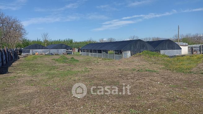 Terreno agricolo in commerciale in Via Generale Alfieri 13
