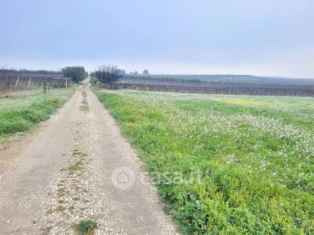 Terreno agricolo in commerciale in Strada Provinciale 96