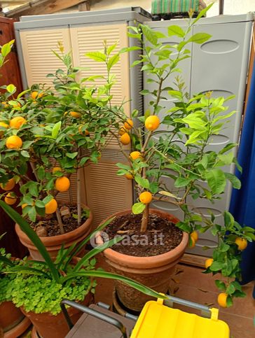 Appartamento in residenziale in Via San Piero in Mercato 77