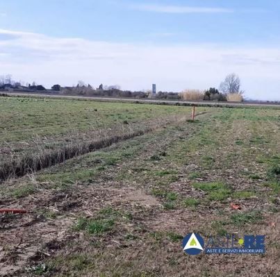 Terreno agricolo in commerciale in Via Vinacciano