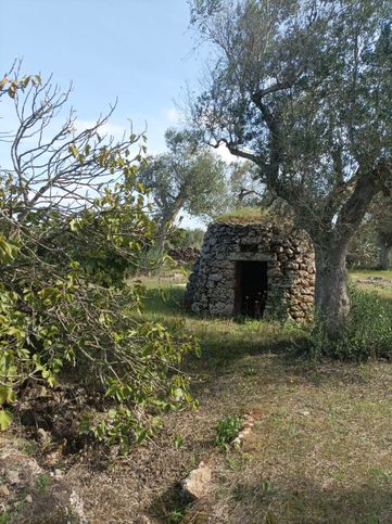 Terreno agricolo in commerciale in Via vecchia zollino