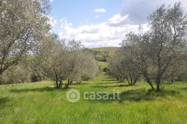 Terreno agricolo in commerciale in Strada Provinciale 32