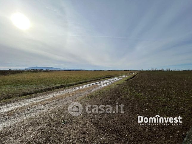 Terreno agricolo in commerciale in Strada Provinciale San Donato