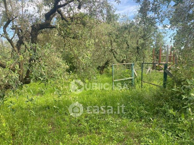 Terreno agricolo in commerciale in Via Macere