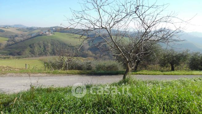 Terreno agricolo in commerciale in Via Colle Appeso