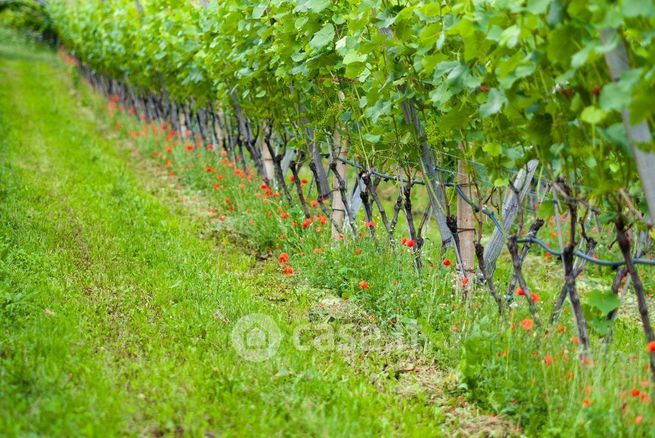 Terreno agricolo in commerciale in
