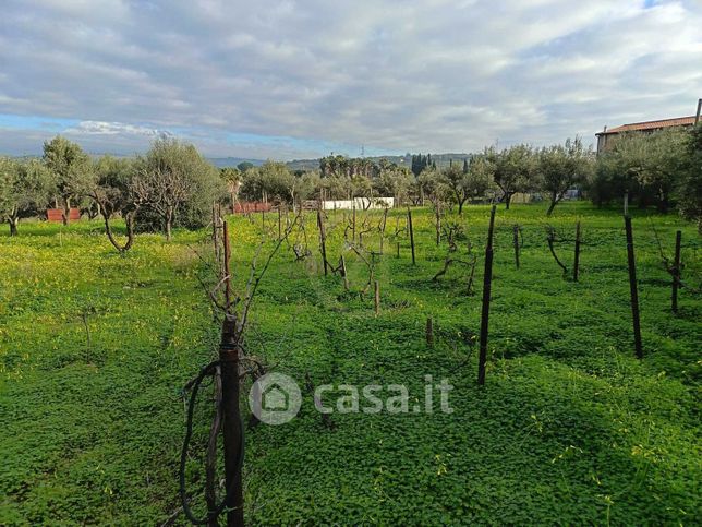 Terreno agricolo in commerciale in 