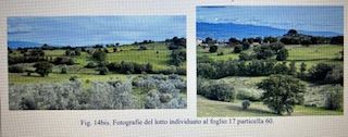 Terreno agricolo in commerciale in Via Vignale